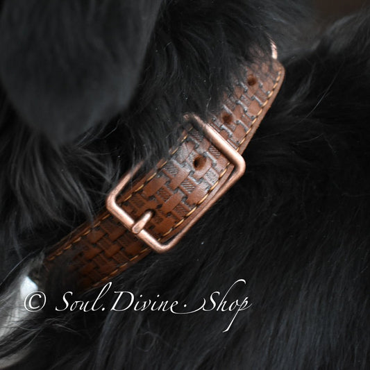 Leather Dog Collar - Hand Tooled - Soul Divine